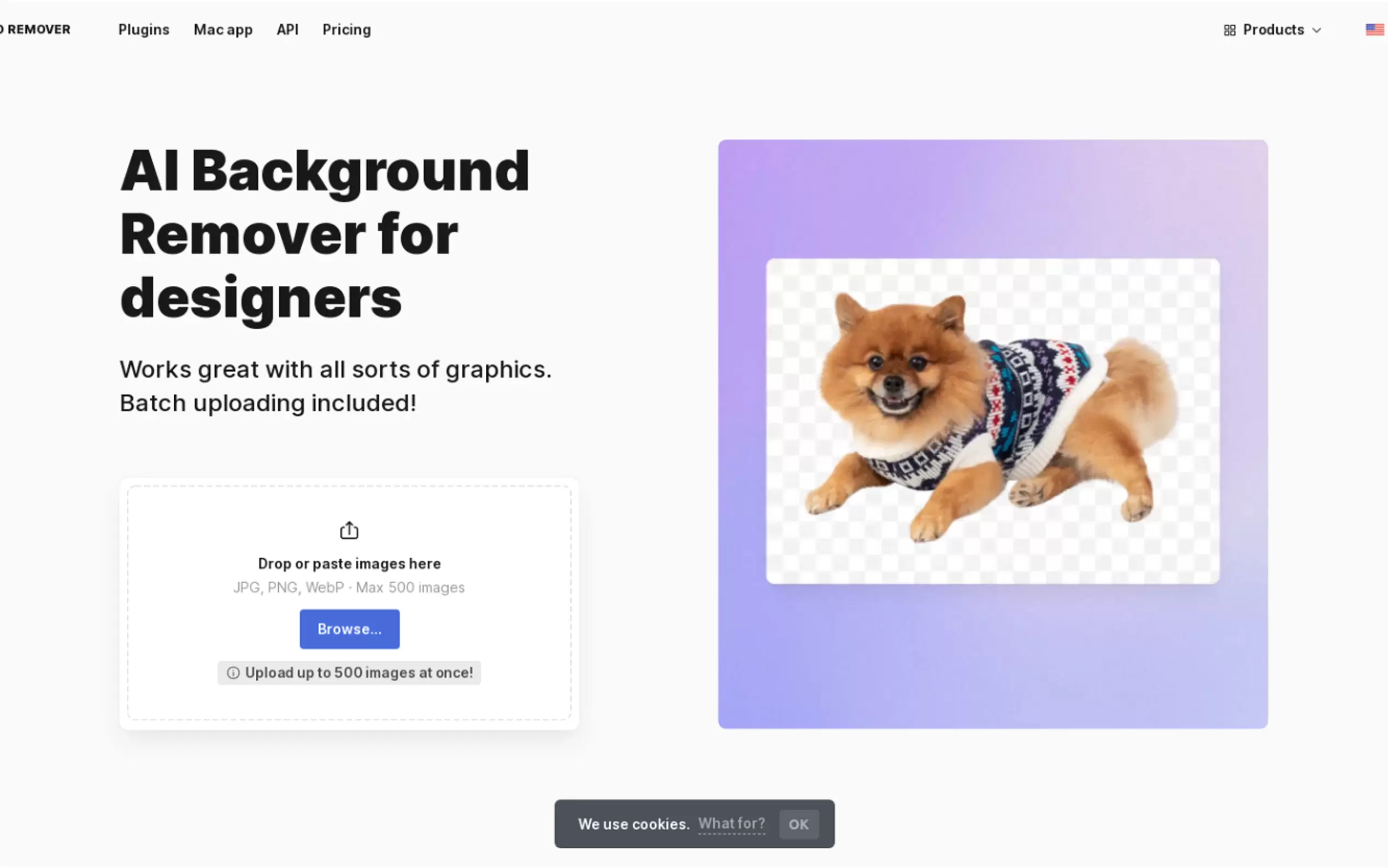 Icons8 Background Remover gallery image