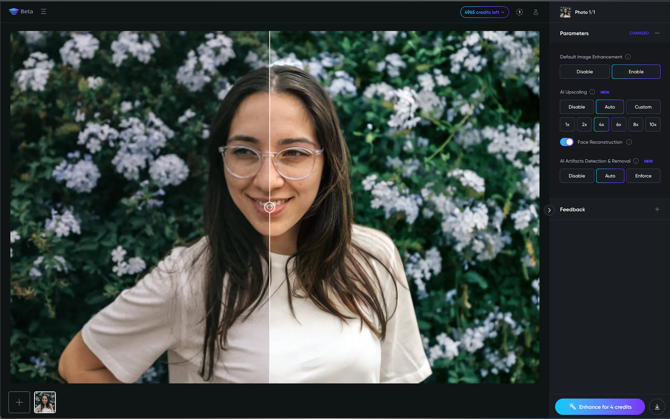 Viesus gallery image