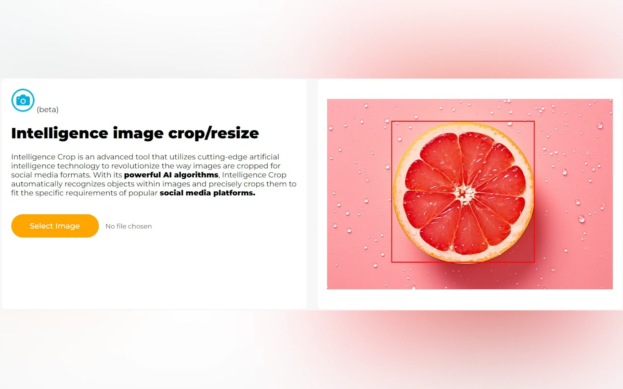 Intelligence image crop/resize gallery image