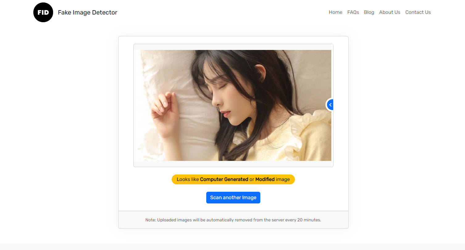 Fake Image Detector gallery image