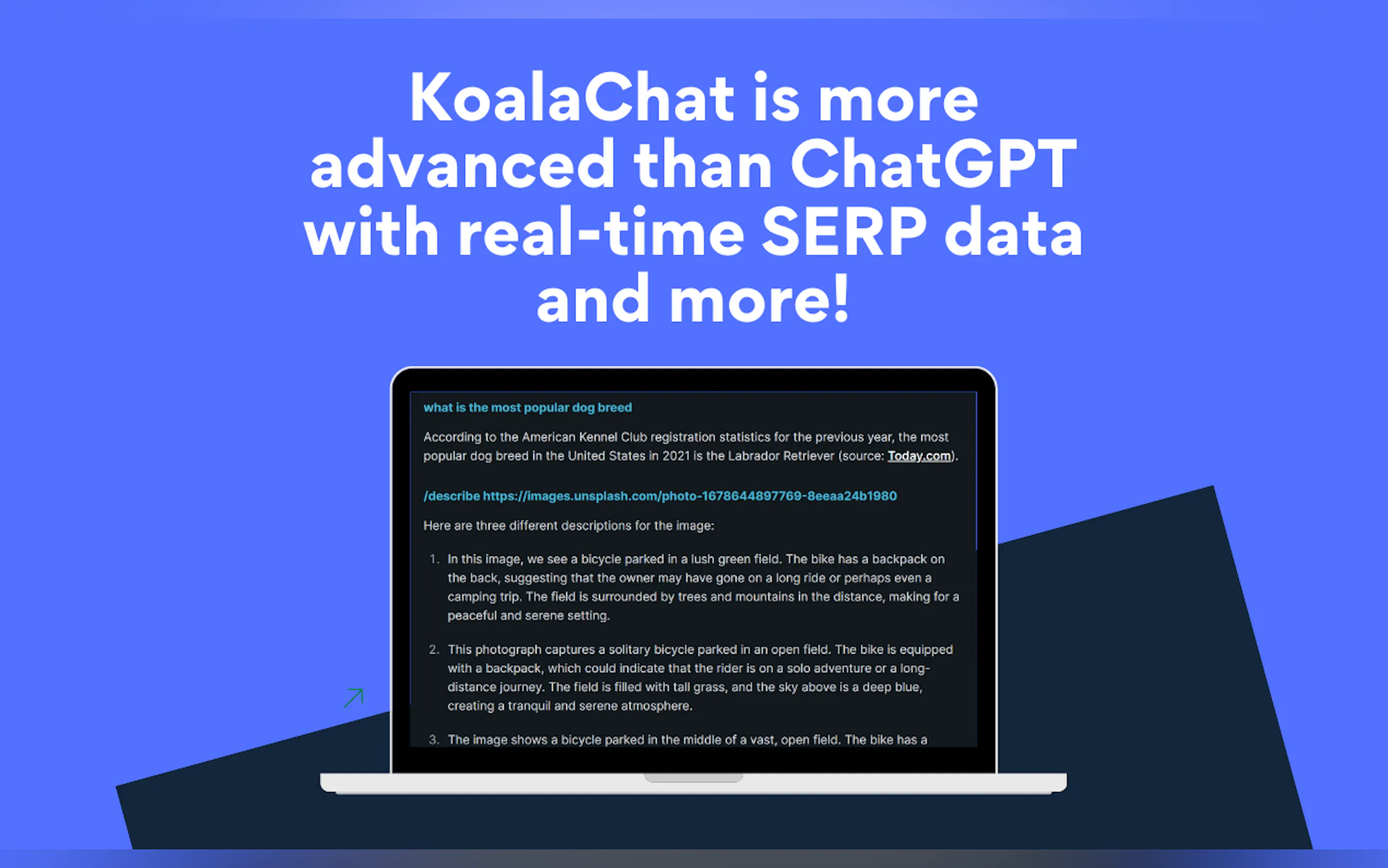 KoalaWriter gallery image