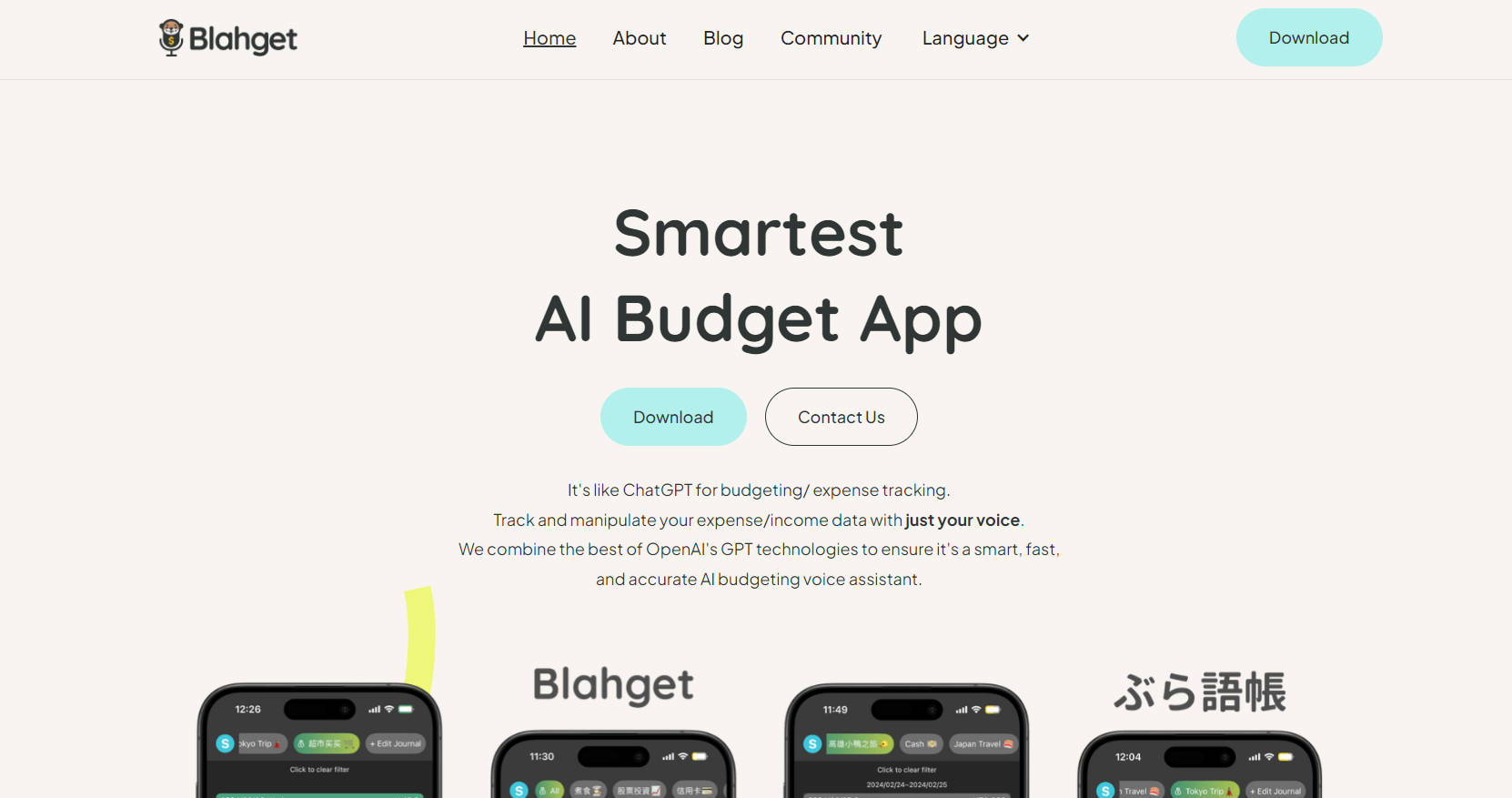 Blahget gallery image