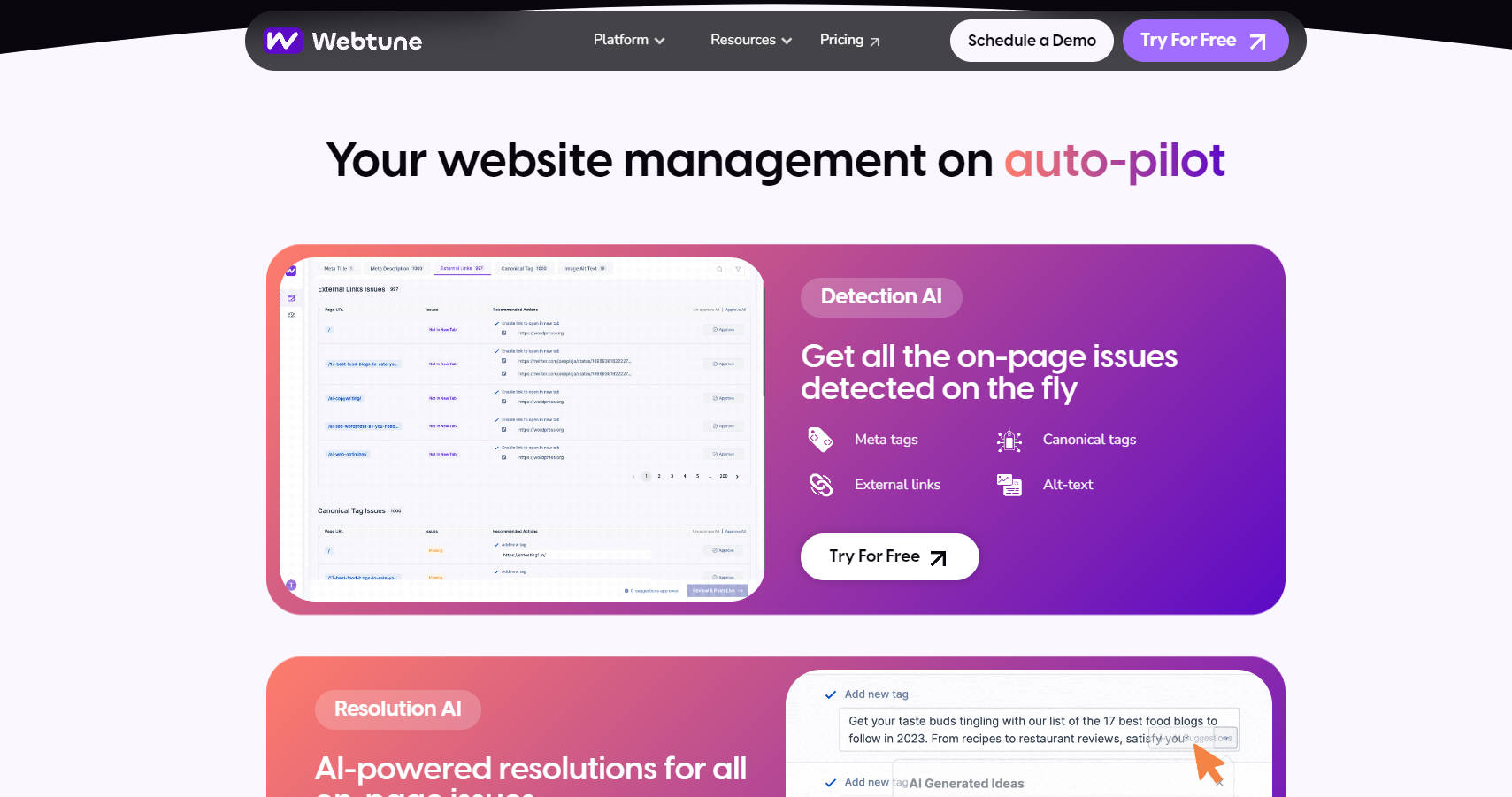 Webtune AI gallery image