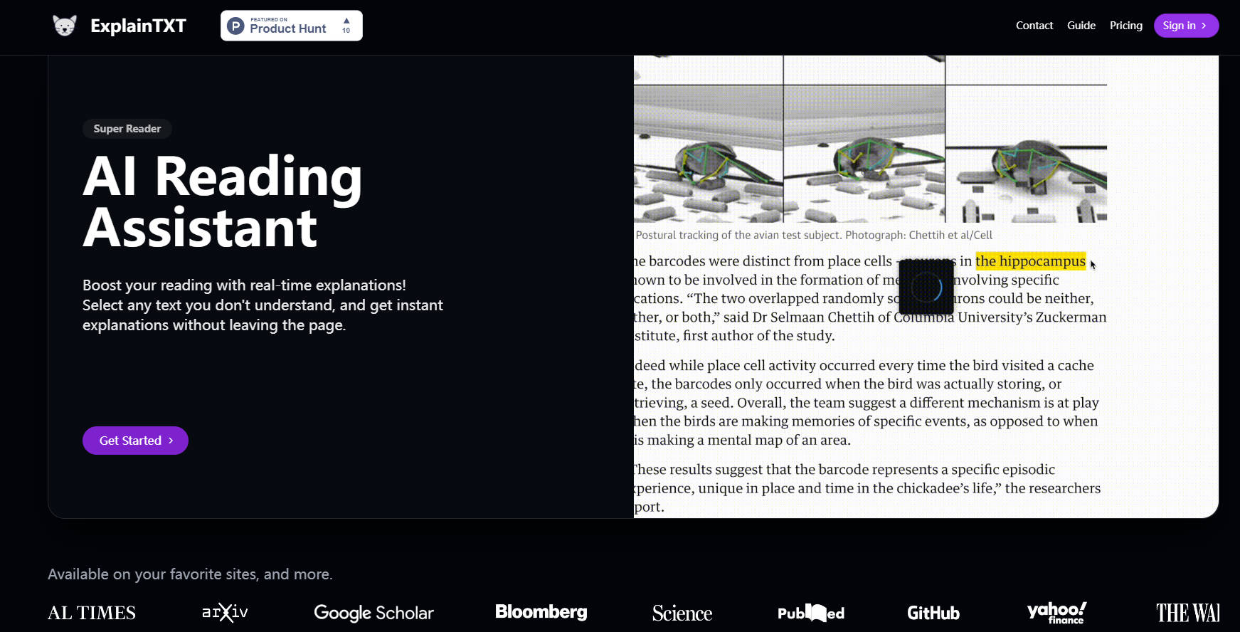 ExplainTXT gallery image