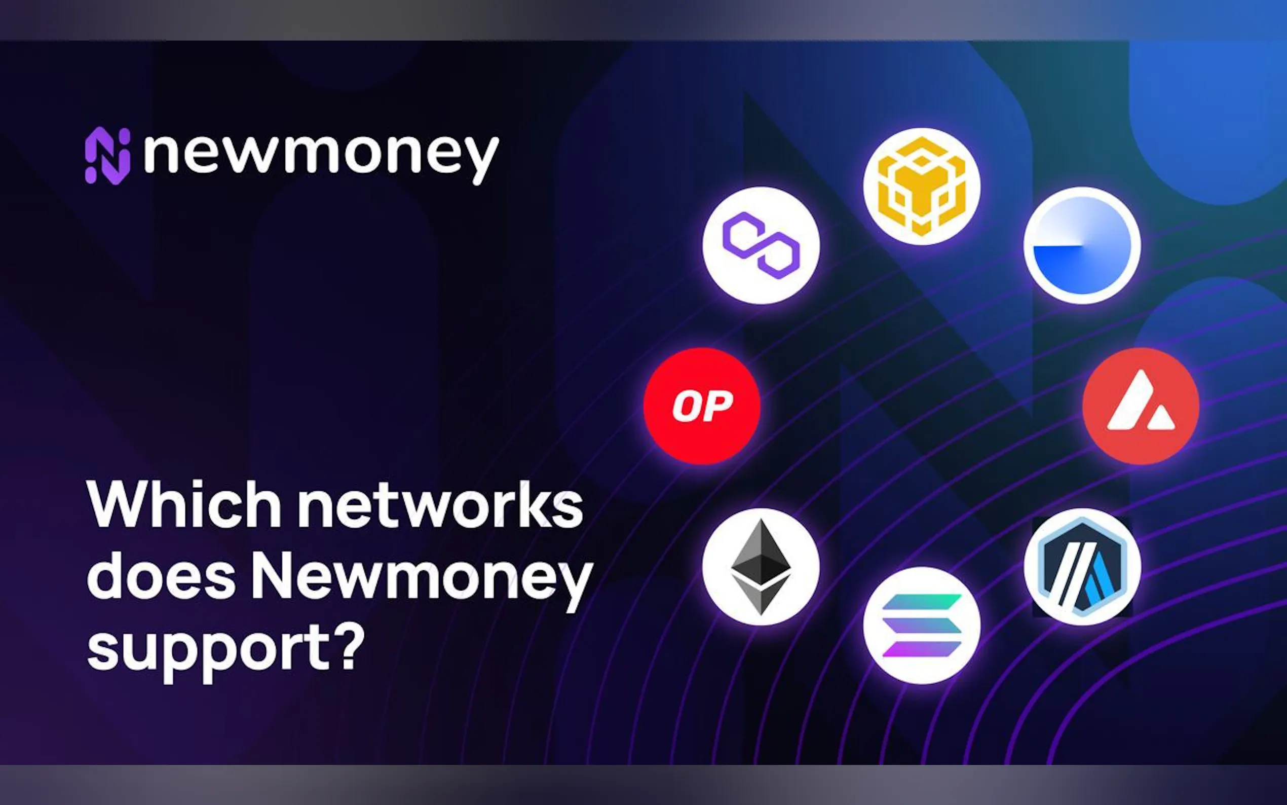 Newmoney.AI gallery image