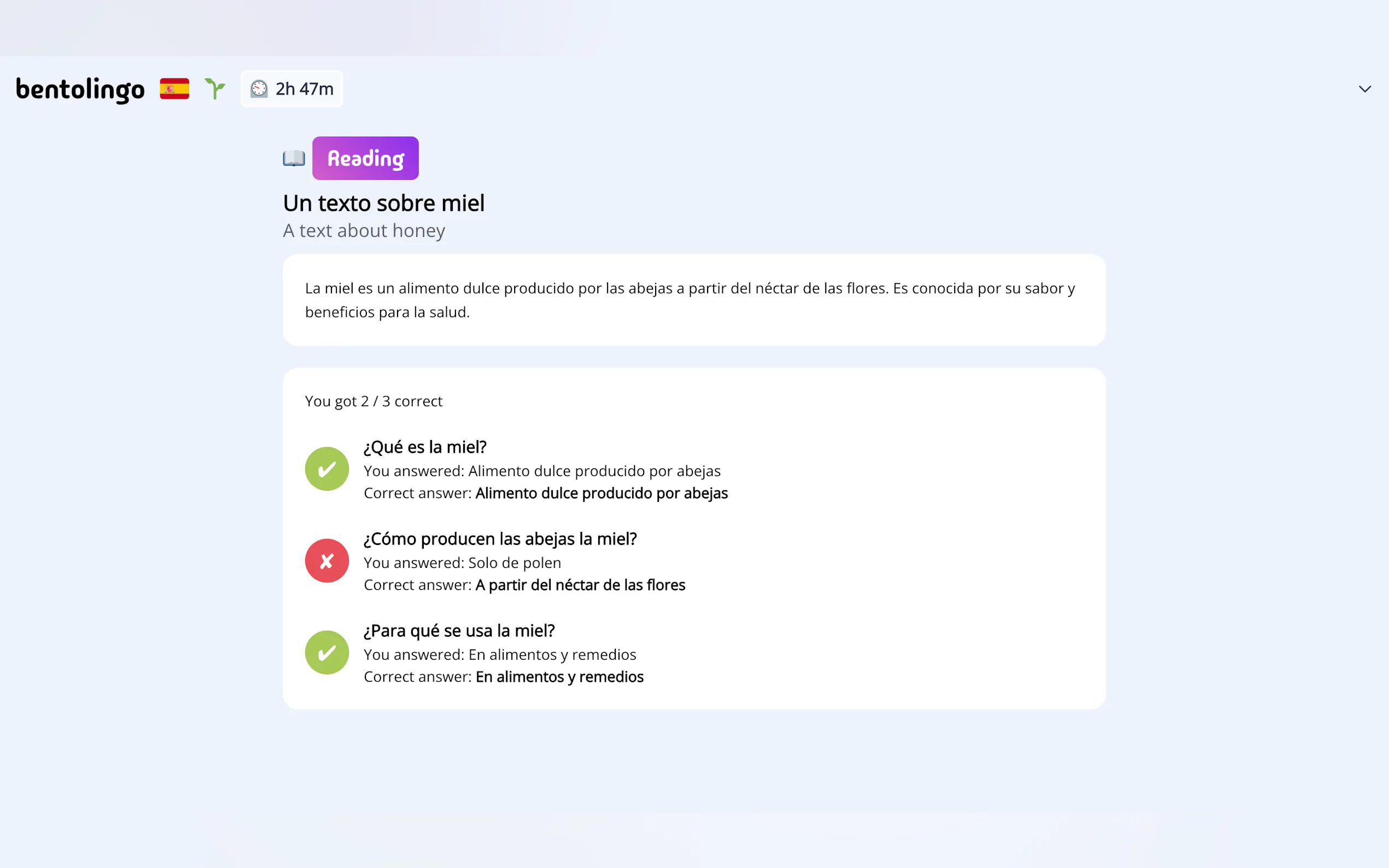 Bentolingo gallery image