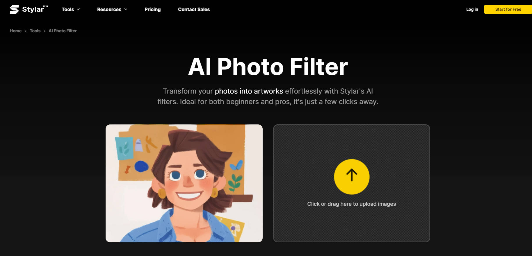AI Photo Filter by Stylar gallery image
