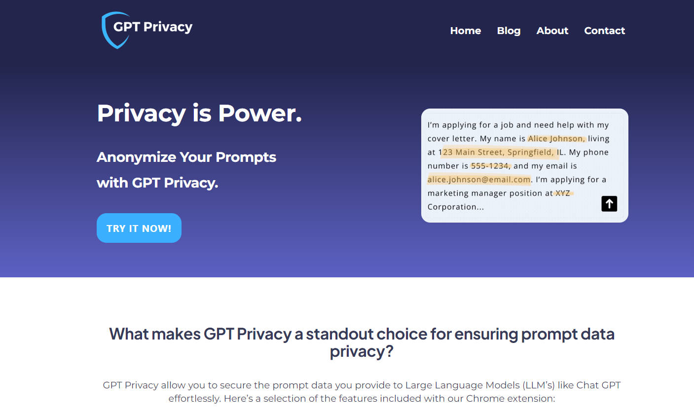 GPT Privacy gallery image