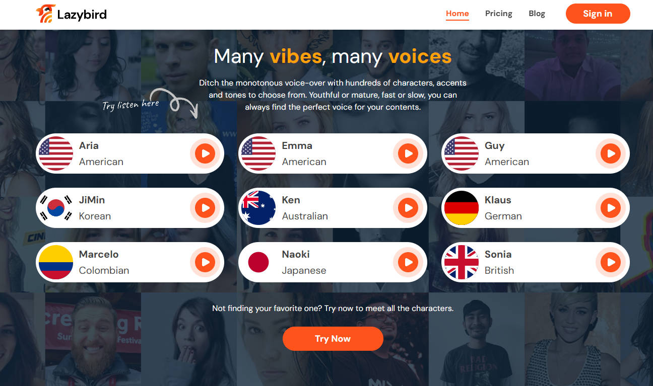 Lazybird gallery image