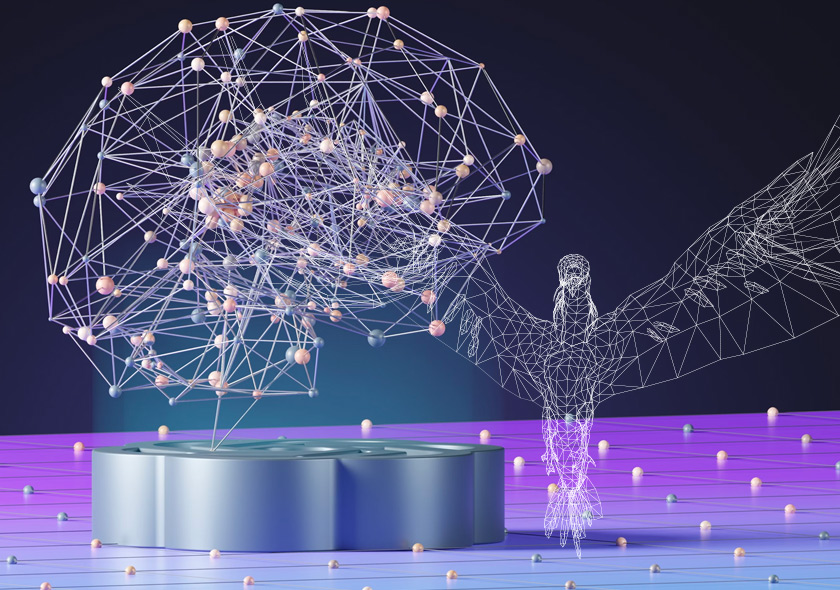 Falcon 2 gallery image