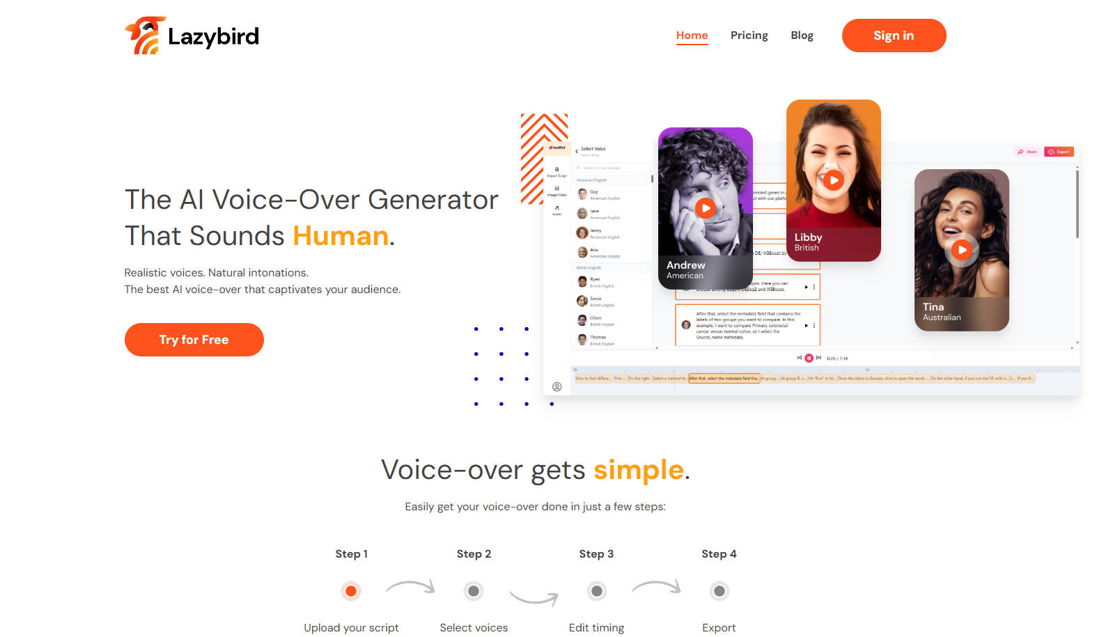 Lazybird gallery image
