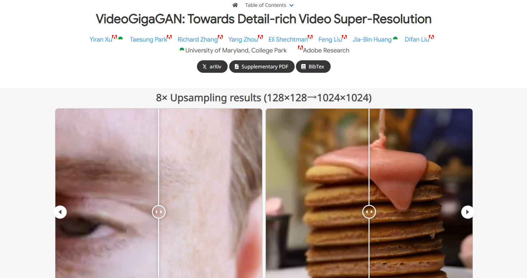 VideoGigaGAN gallery image