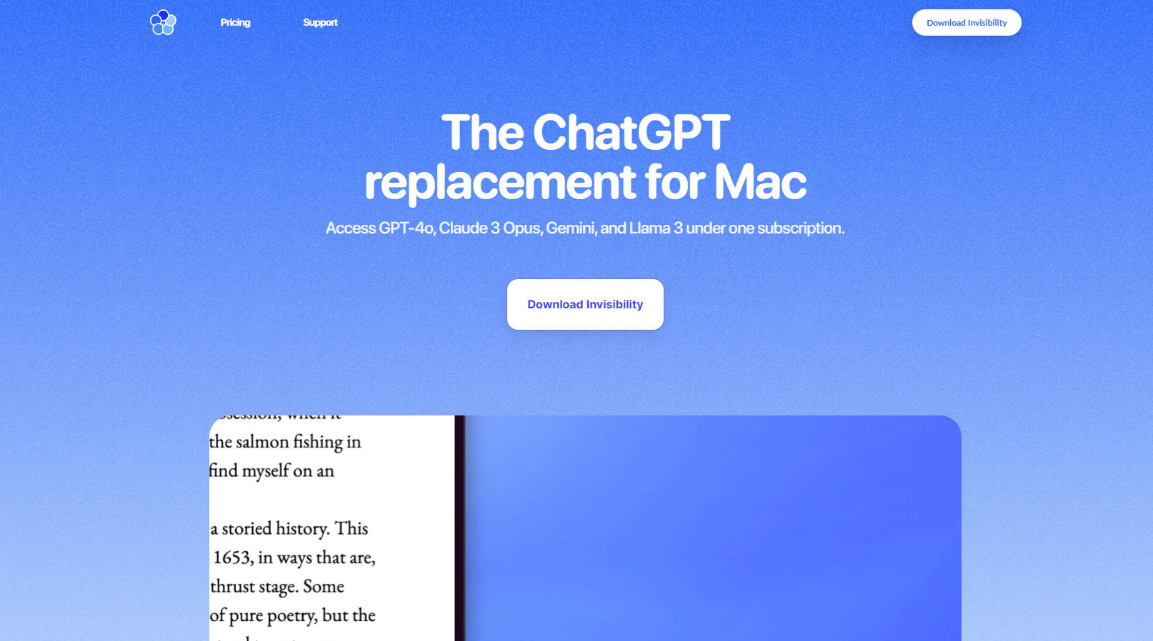 Invisibility gallery image