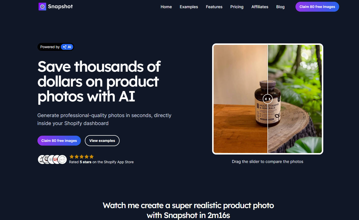 Snapshot gallery image