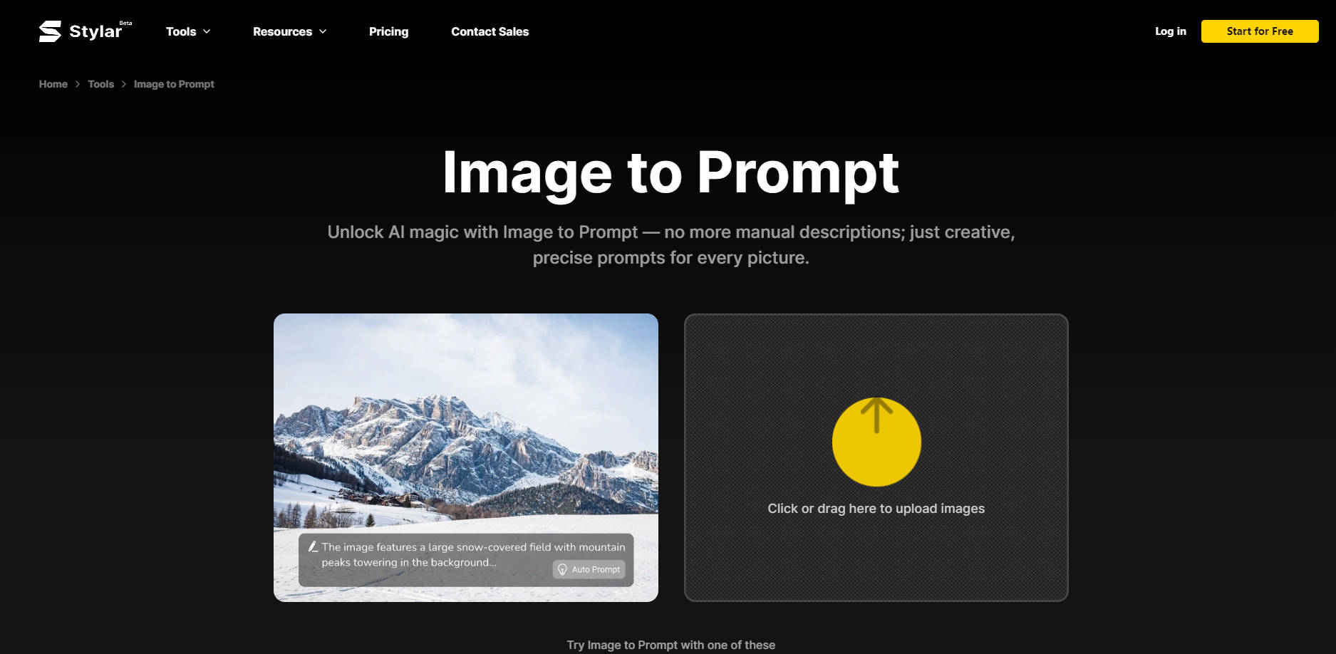 Image to Prompt by Stylar gallery image