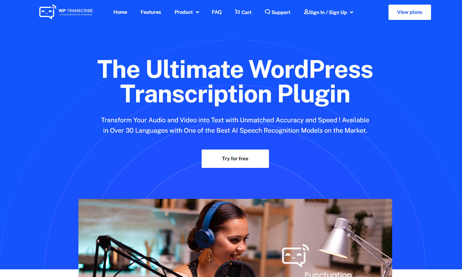 WP Transcribe AI gallery image