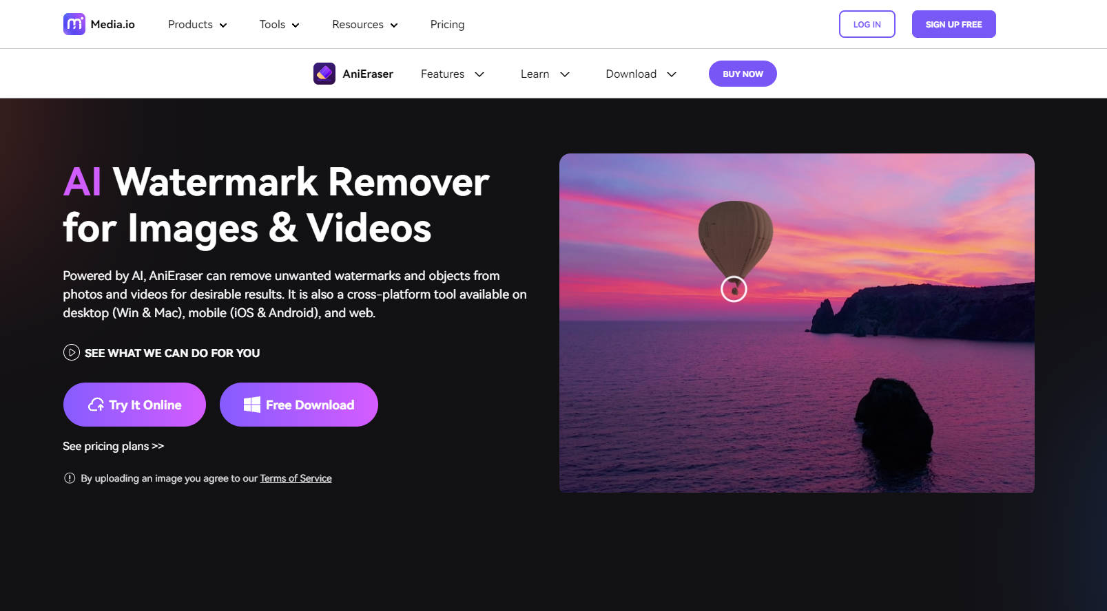 AniEraser gallery image