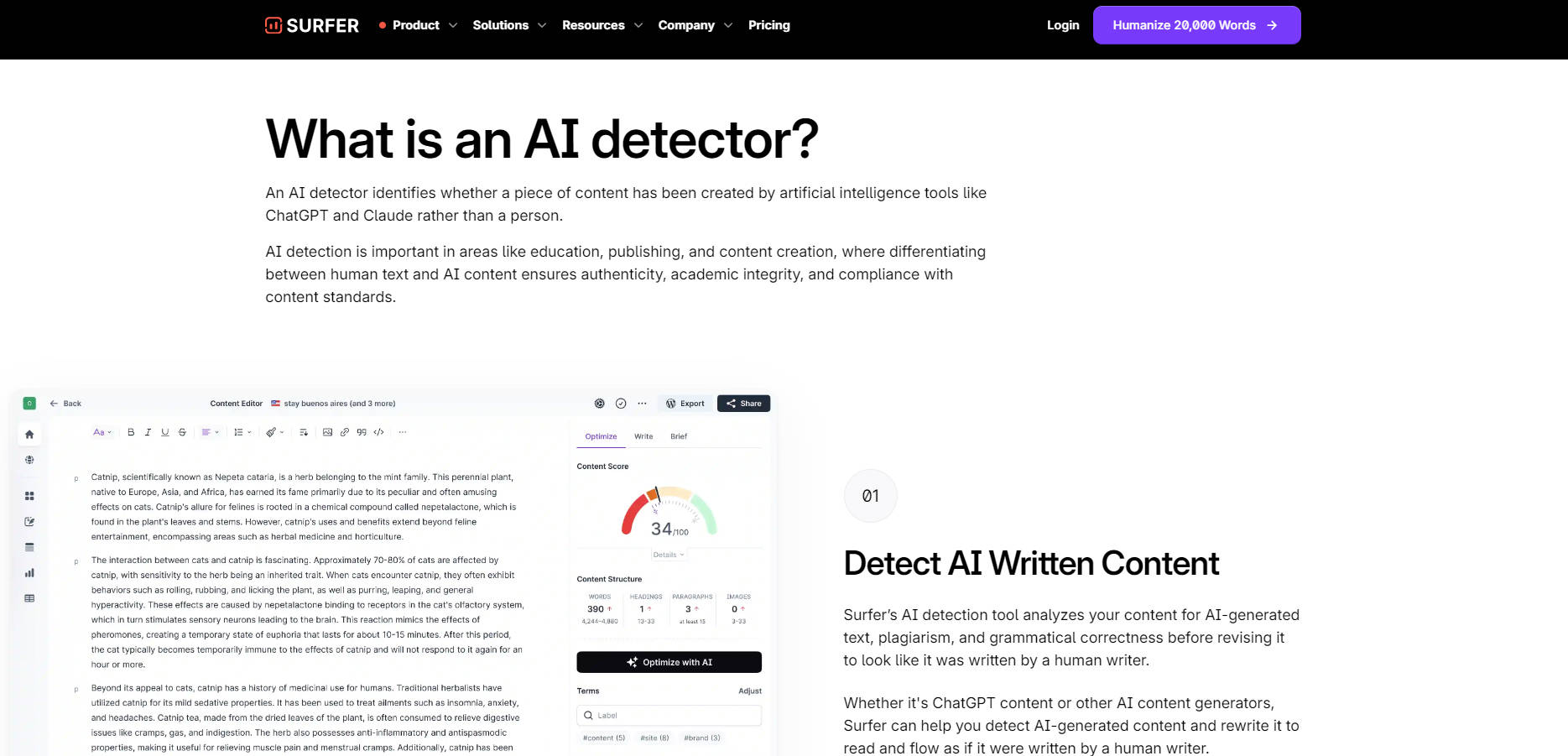 Surfer's free AI content checker gallery image