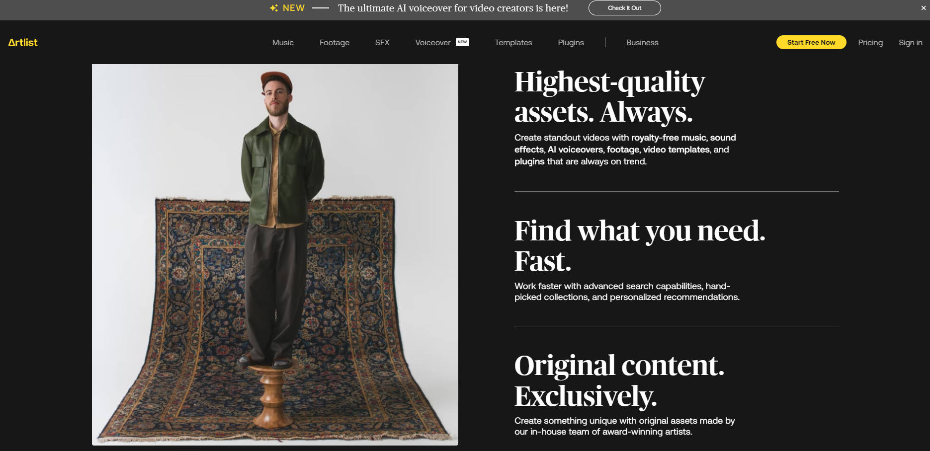 Artlist gallery image