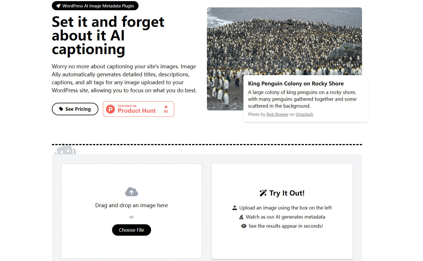 Image Ally gallery image