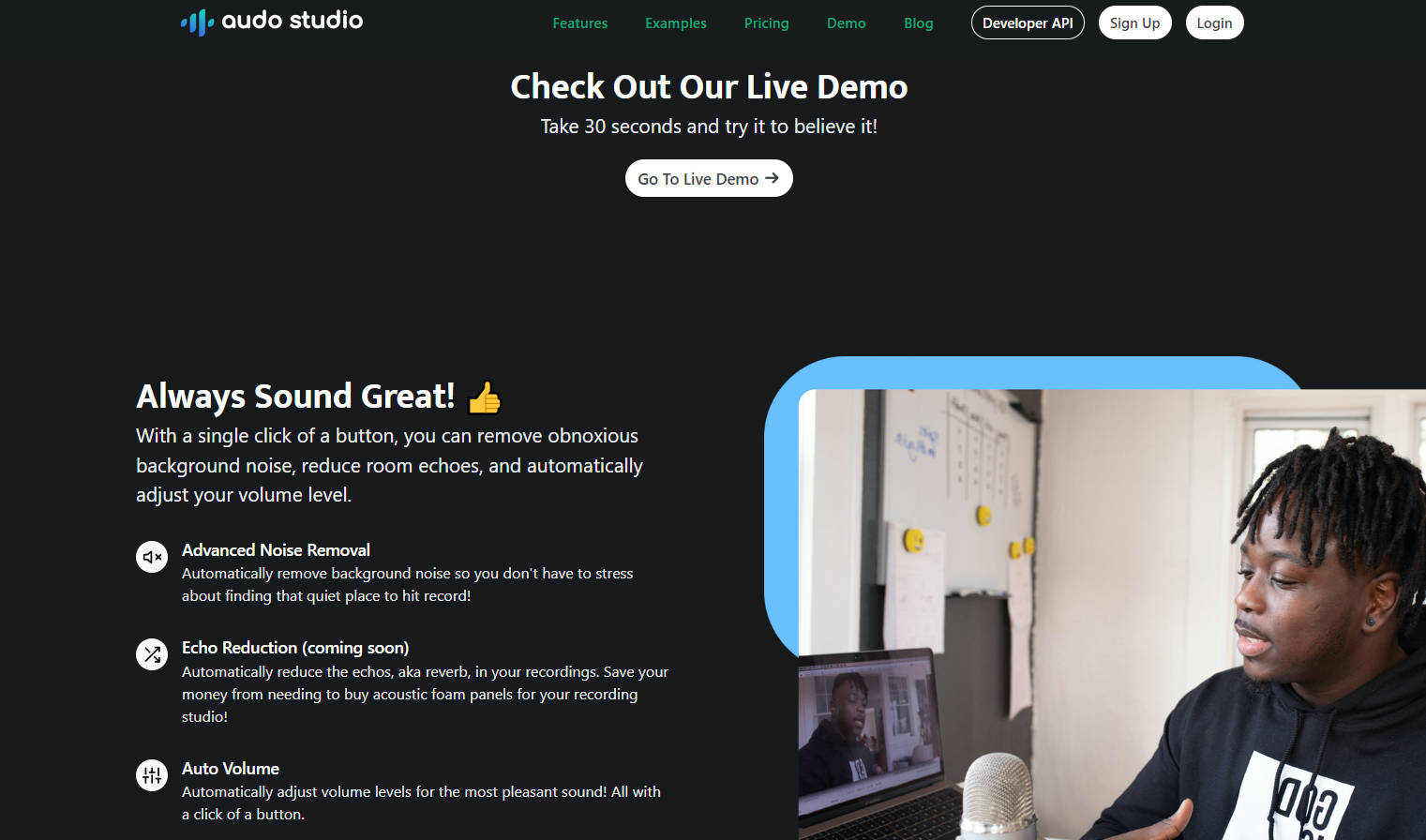 Audo AI gallery image