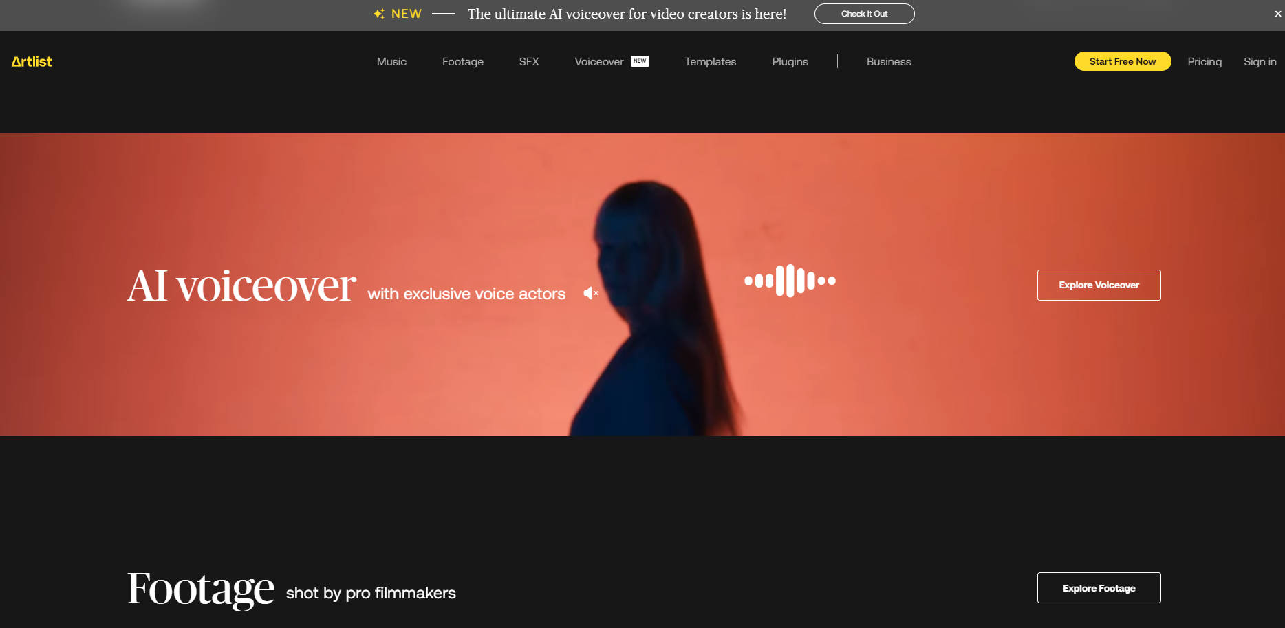 Artlist gallery image