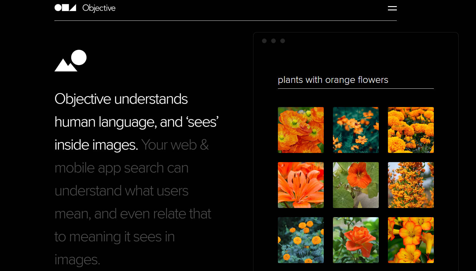 Objective Search API gallery image