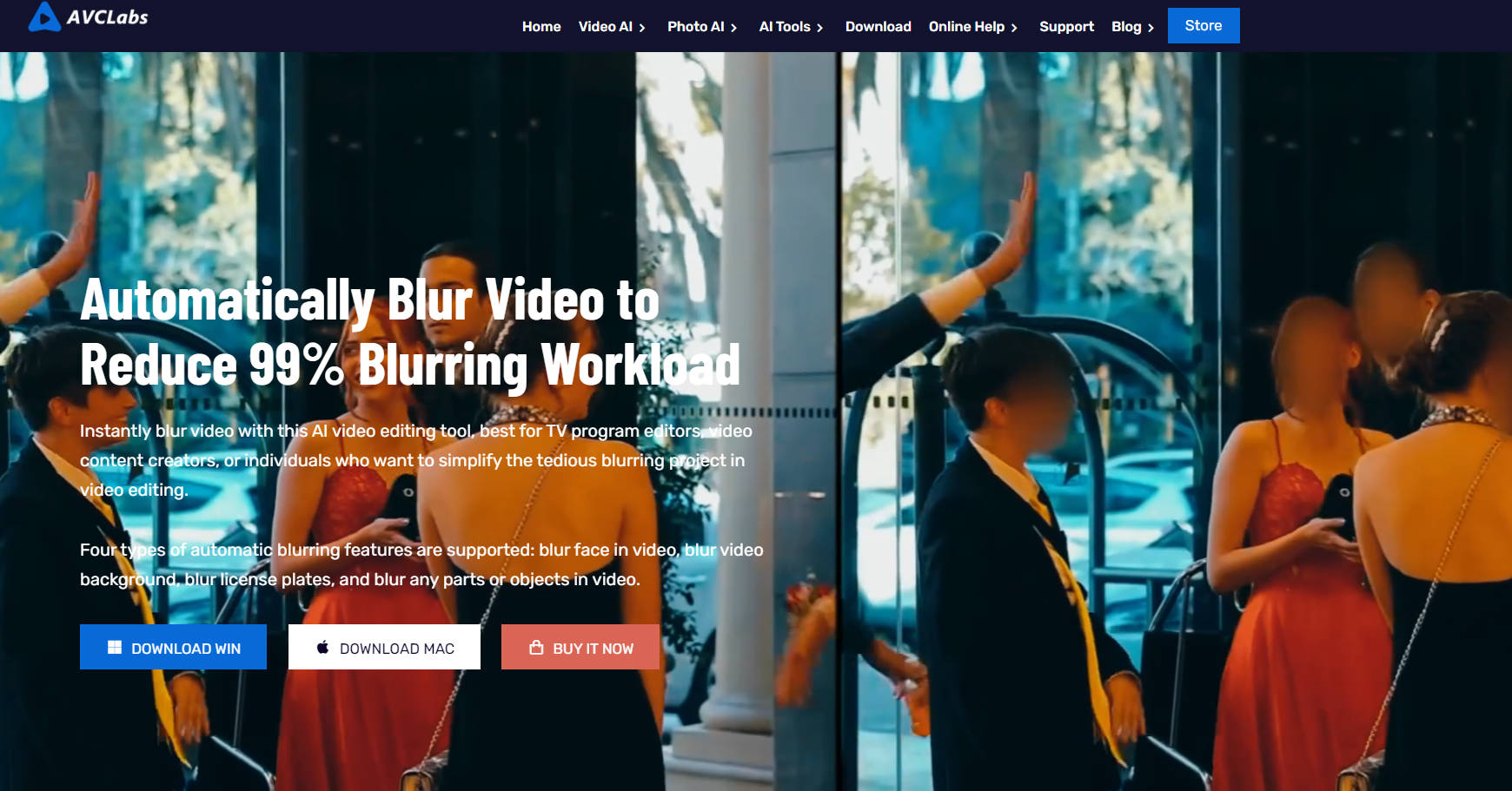 AVCLabs Video Blur AI gallery image