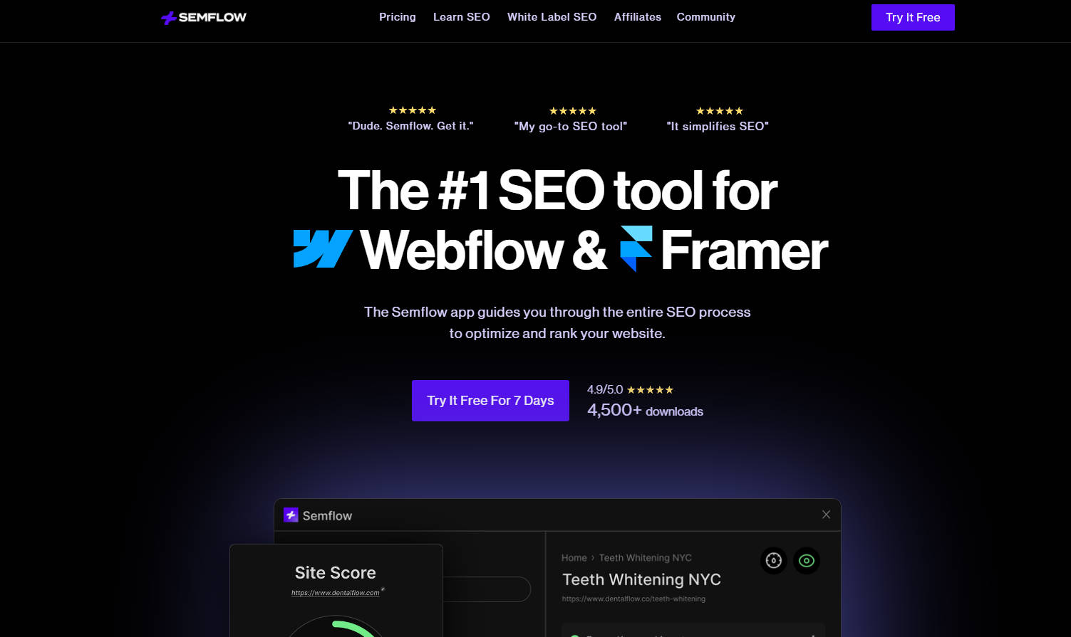 Semflow gallery image