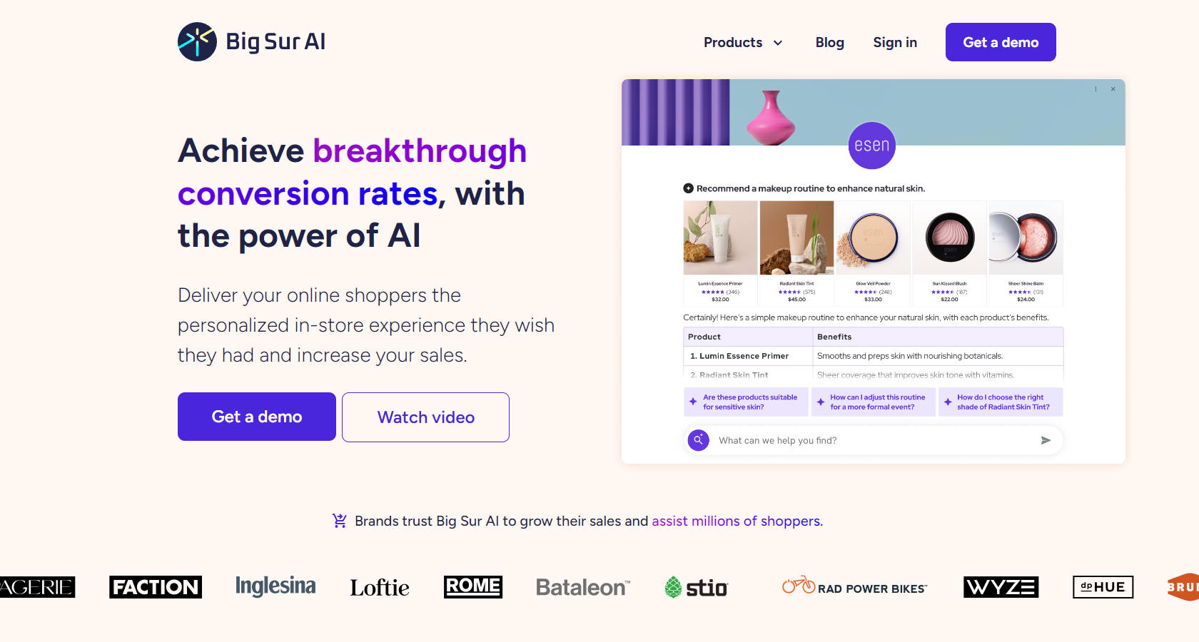 Big Sur AI gallery image