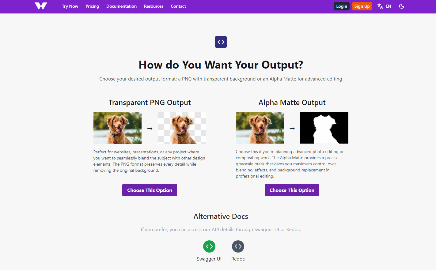 WithoutBG API gallery image
