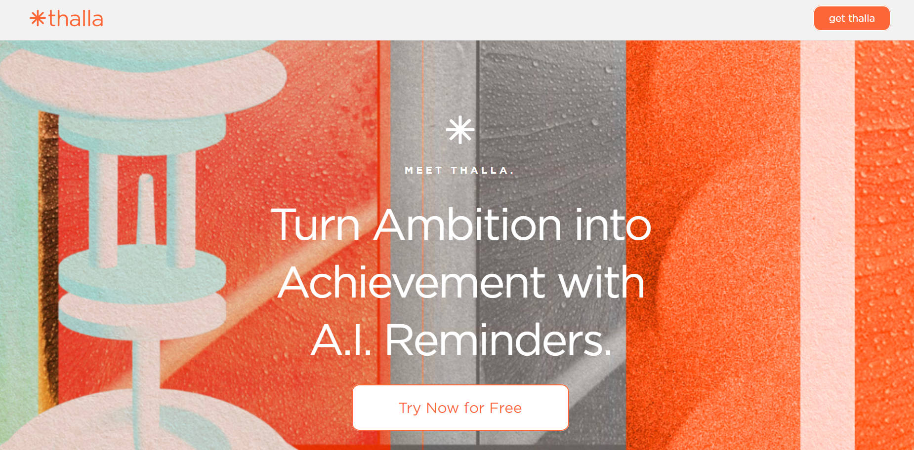 Thalla gallery image