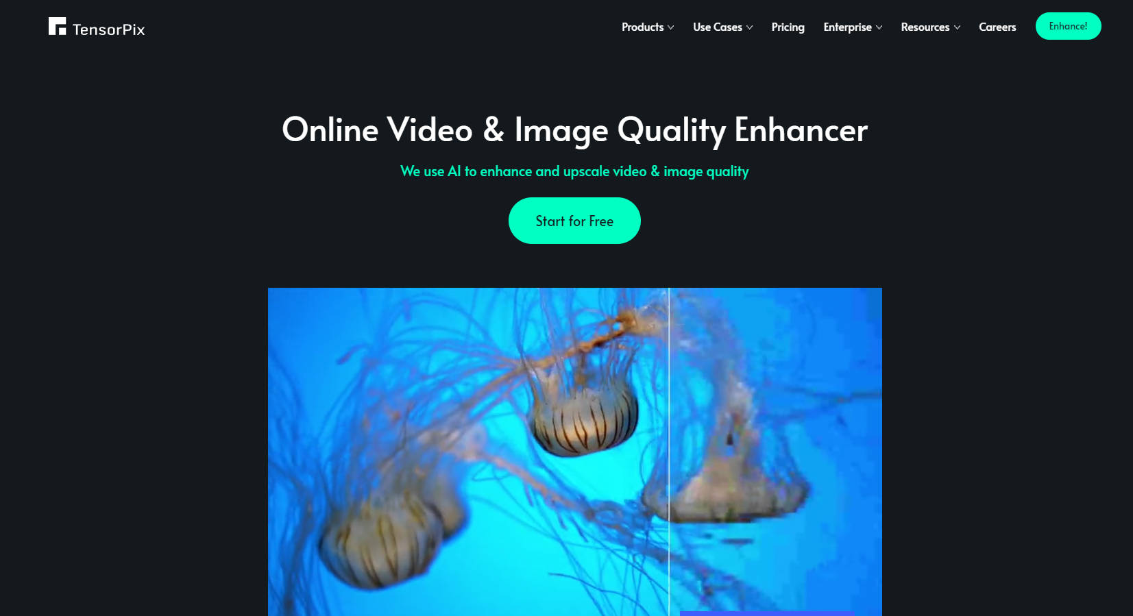 TensorPix gallery image