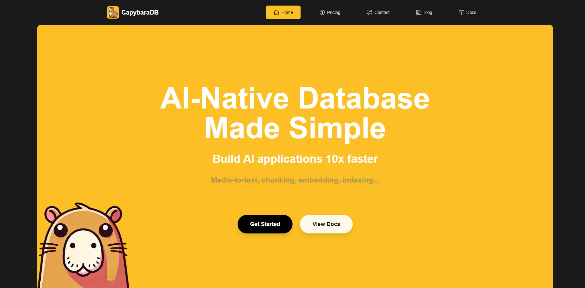 CapybaraDB gallery image