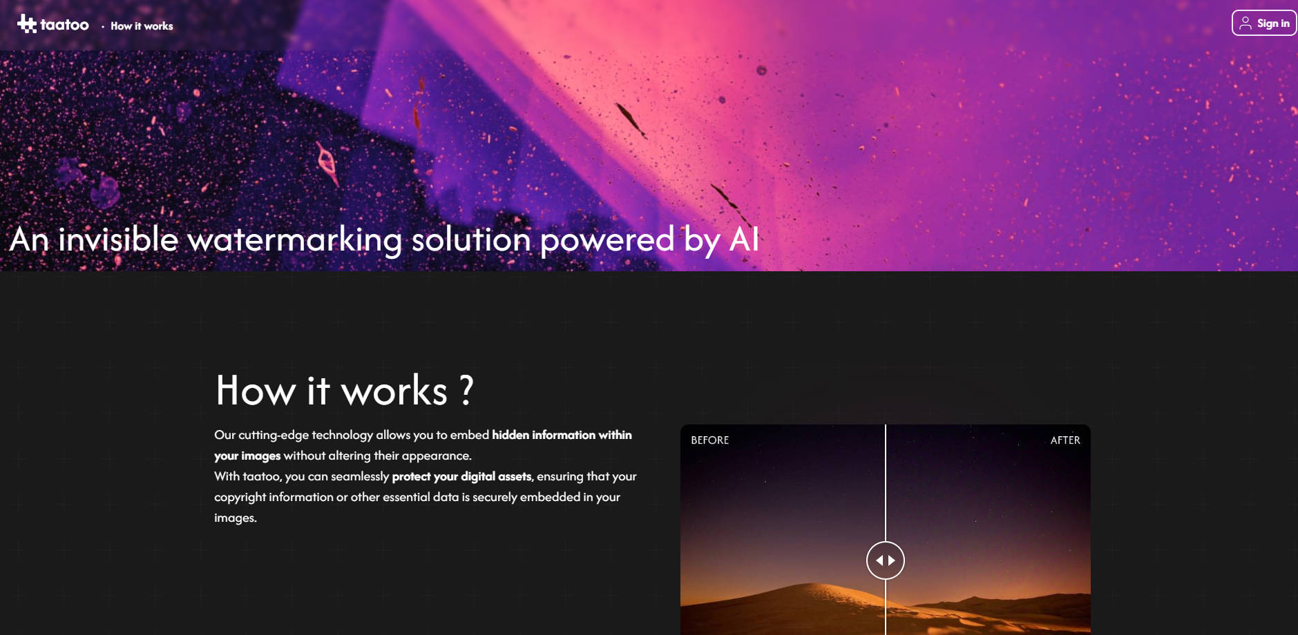 Taatoo gallery image