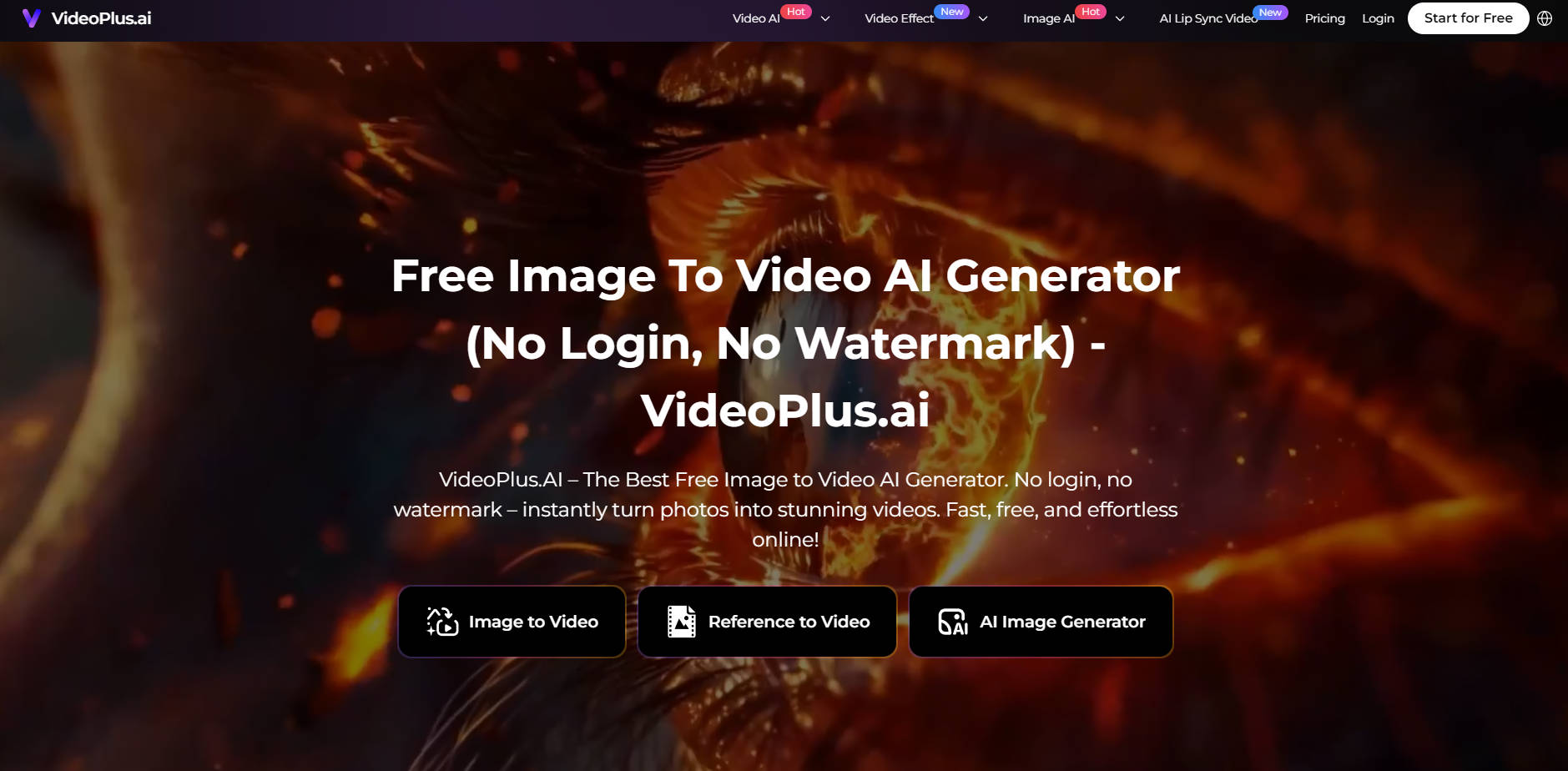VideoPlus.ai gallery image