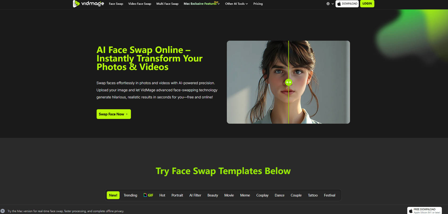 Vidmage gallery image