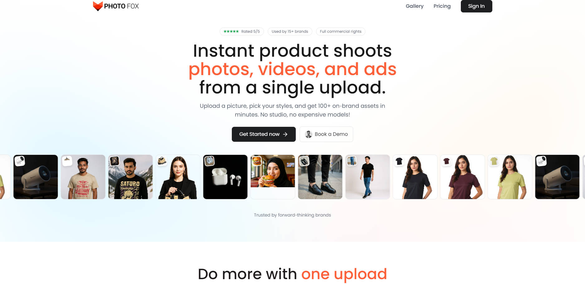 PhotoFox AI gallery image