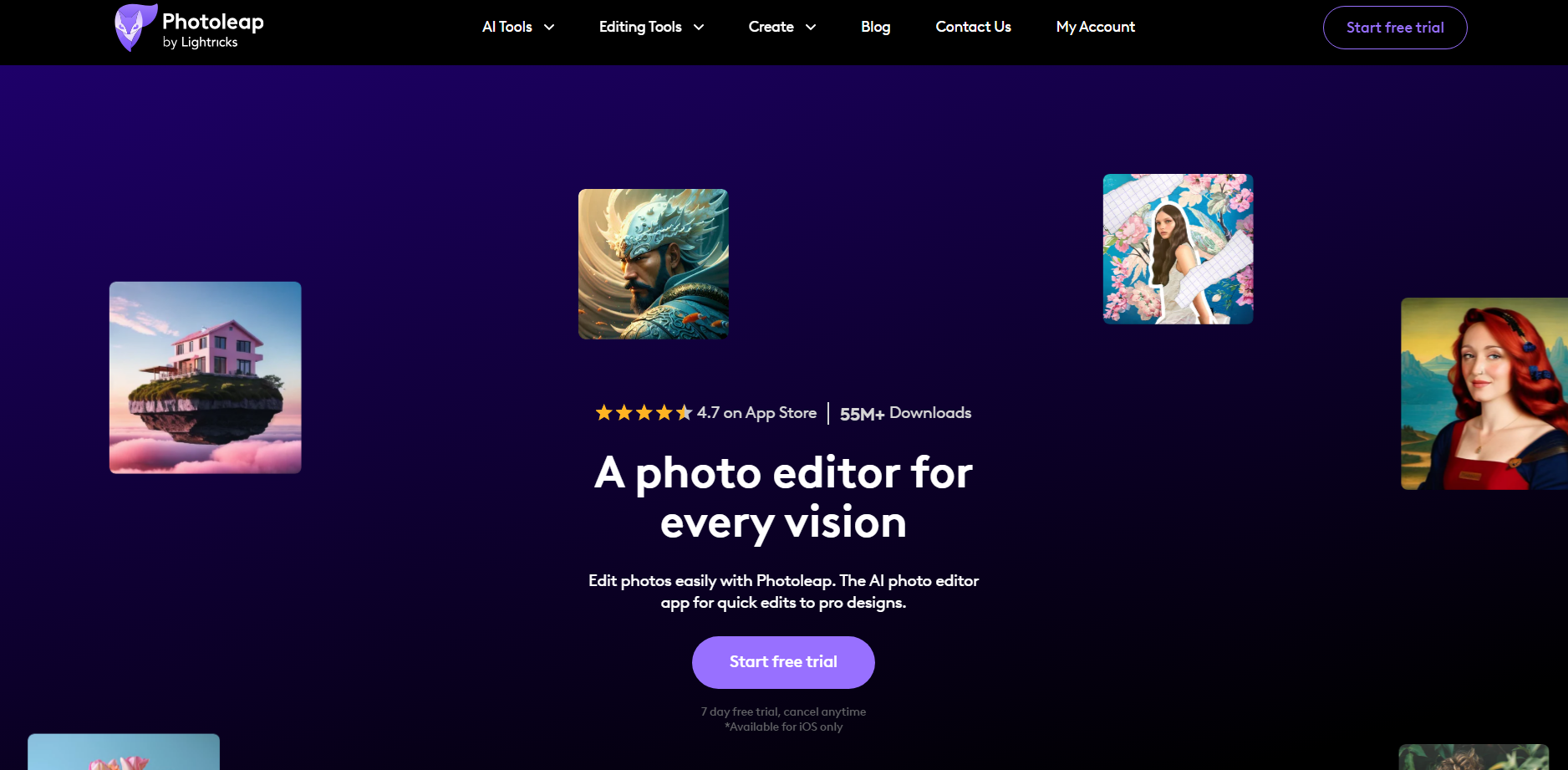 Photoleap gallery image