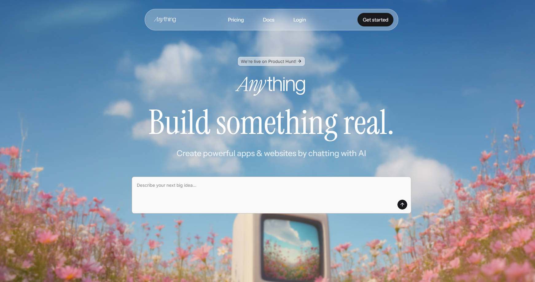 Anything gallery image