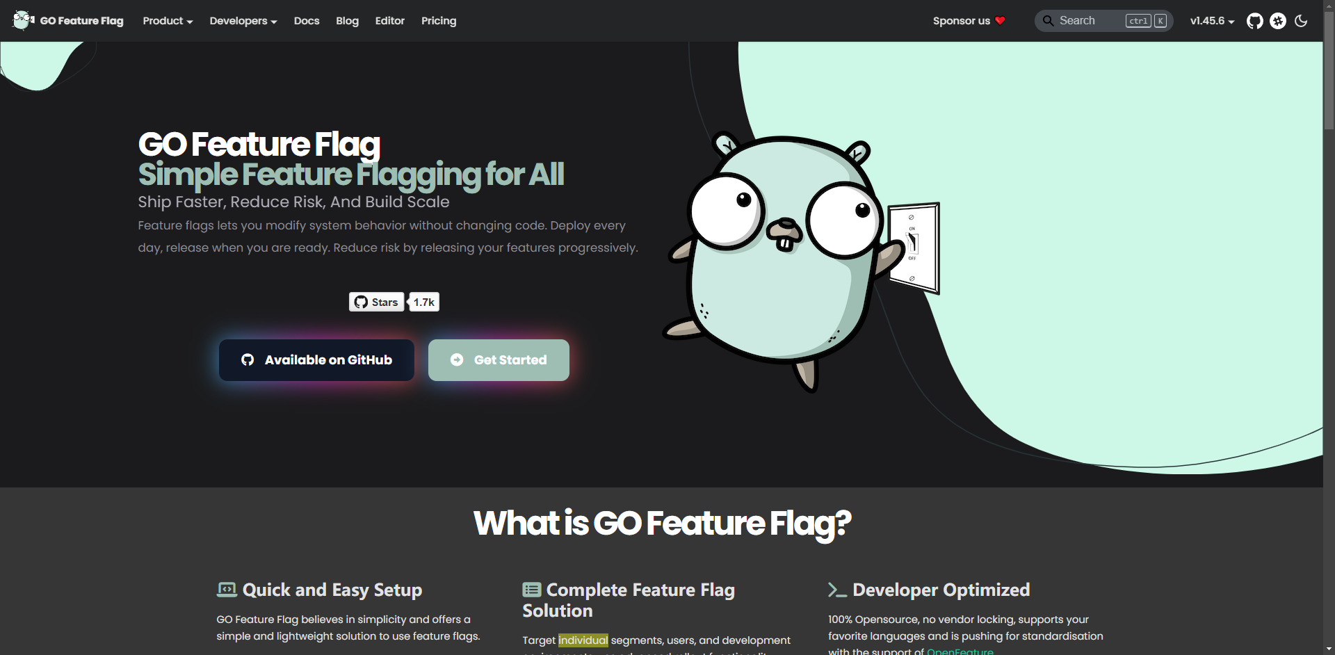 GO Feature Flag gallery image