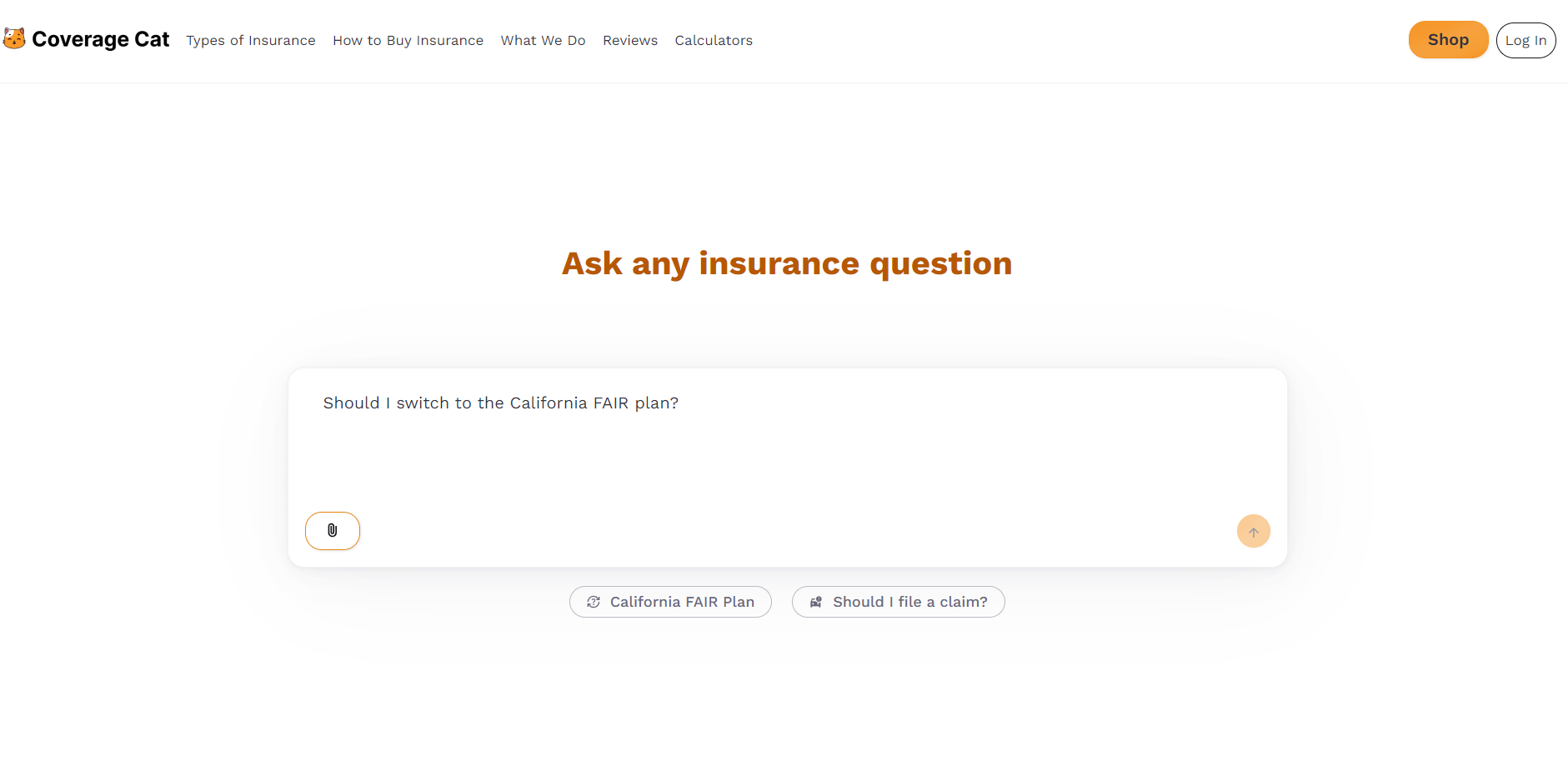 Coverage Cat gallery image
