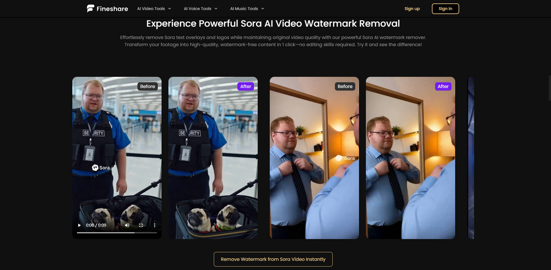 Fineshare Sora Watermark Remover  gallery image