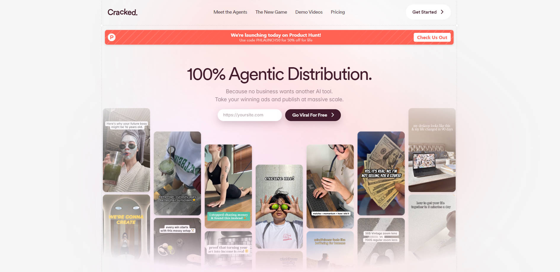 Cracked AI  gallery image