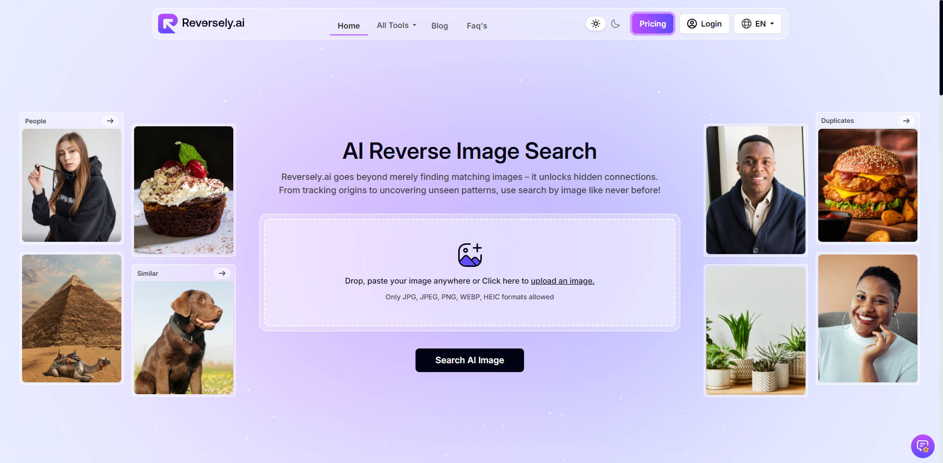Reversely.ai gallery image