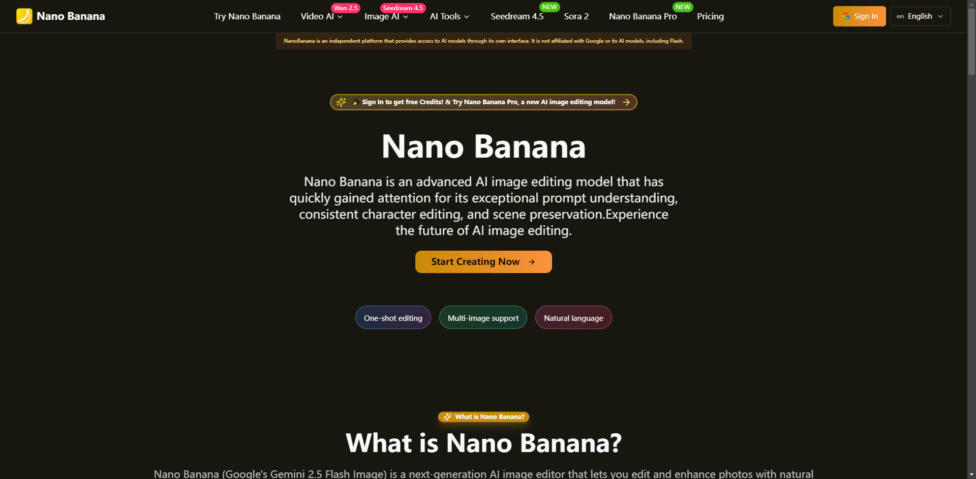 Nano Banana gallery image