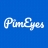 PimEyes ico