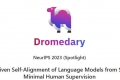 Dromedary