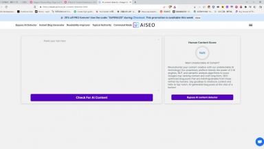 AISEO Content Detection
