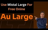 Unleashing the Power of Mistral Large Model Online: A Step-by-Step Guide